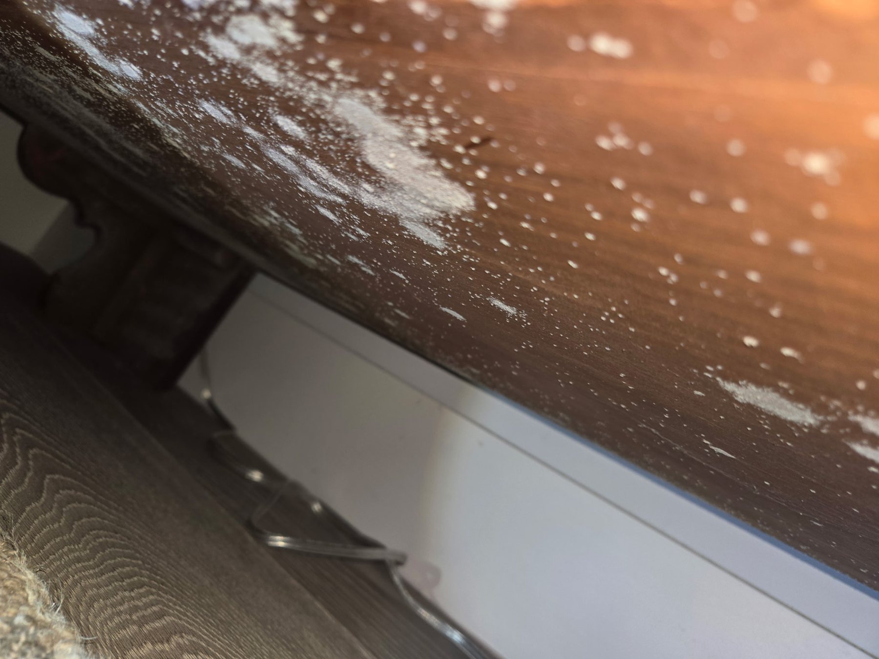 Pale mold colonies on the underside of a wood furniture panel, photographed on site