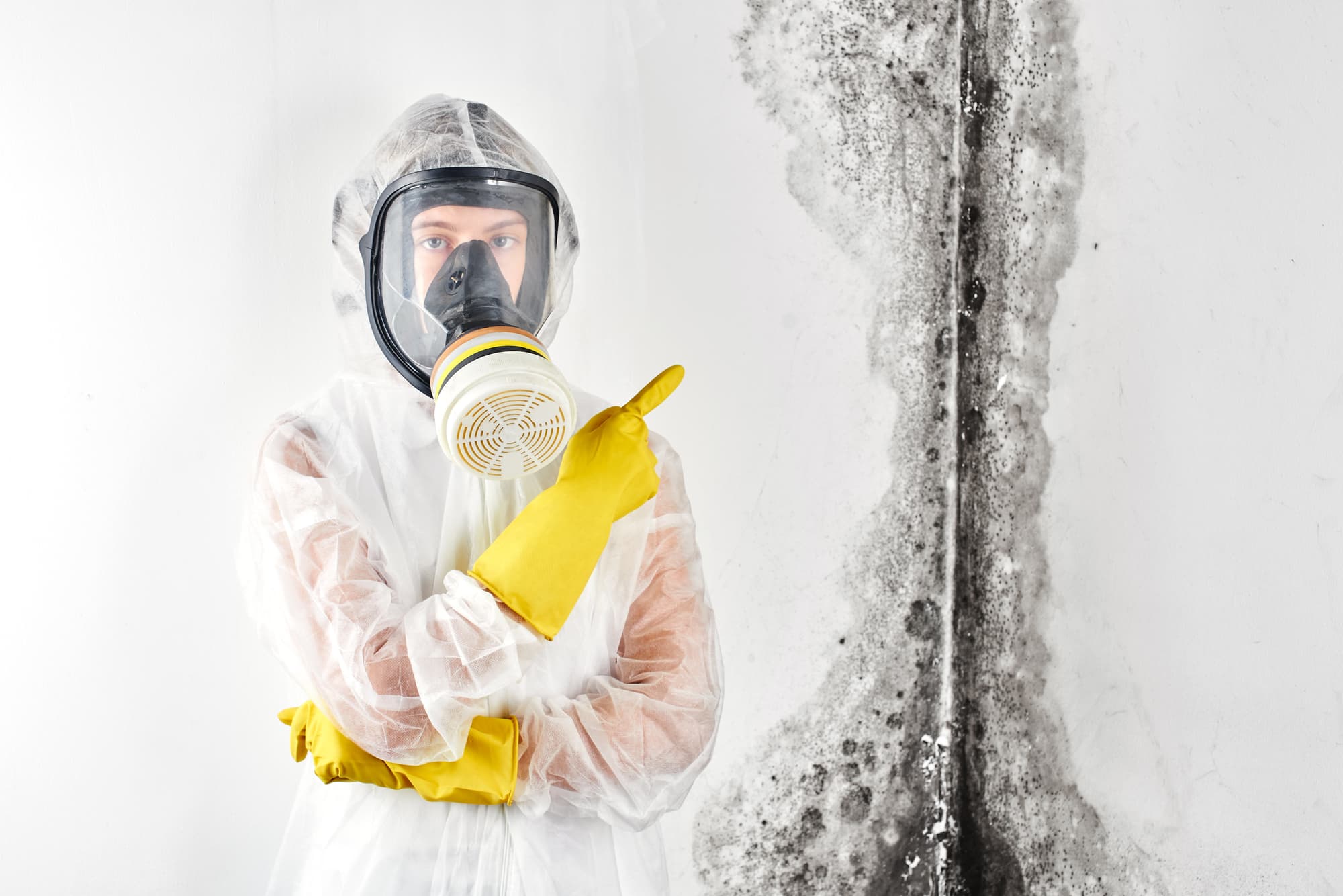 Mold Shark inspector surveying a wall during a field inspection