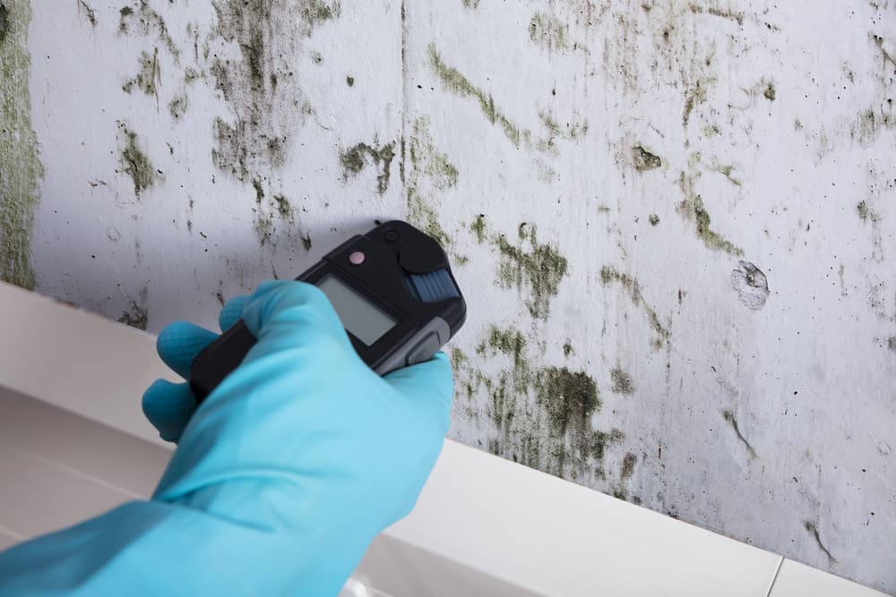 Inspector taking a moisture reading on a wall showing mold growth